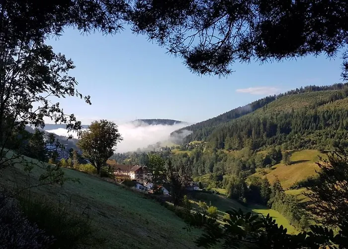Ferienwohnung Tonbachtal