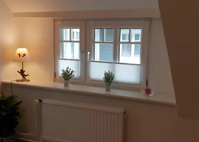 Kampen Bergente