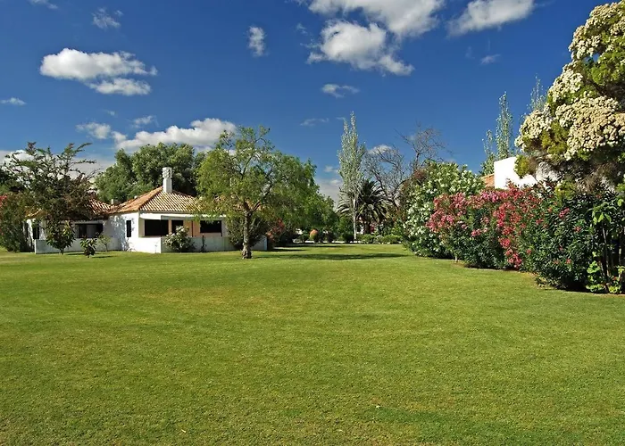 Studio Pedras D'El Rei