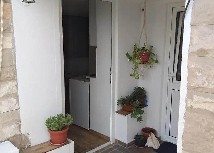 House 23 A3