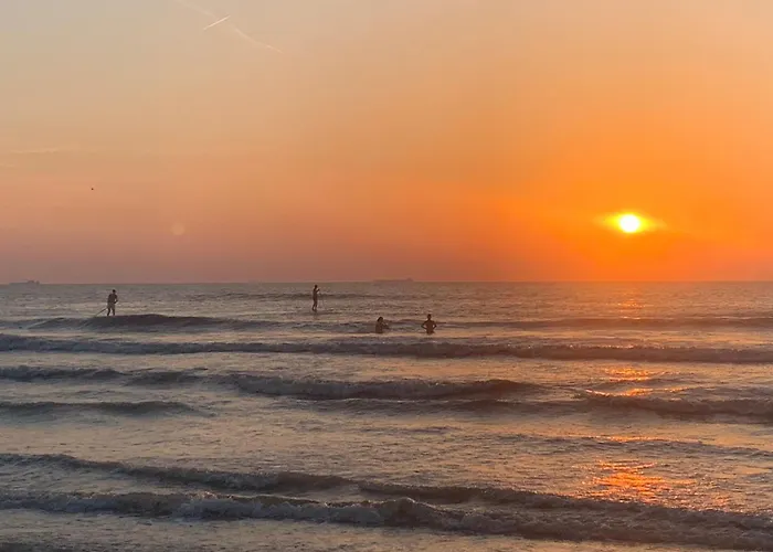 Beach House Parallel