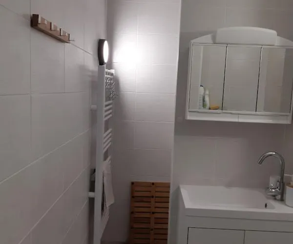Le Chalet Des Neiges 2 Est Au Calme Situe A 5 Mn A Pied Du Centre Il Est Compose D'1 Chambre Avec Lit Double Plus Canape Convertible Parking Prive Sur Place Et Arret Navette Gratuite A 30 M
