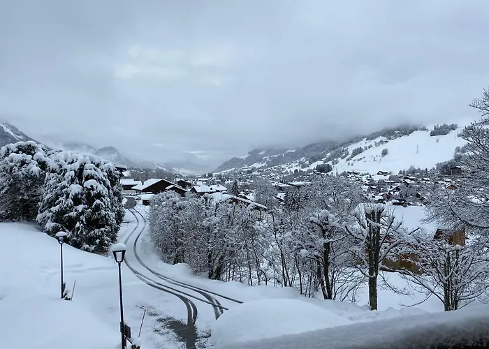 Chalet " Jeane " Proche Centre