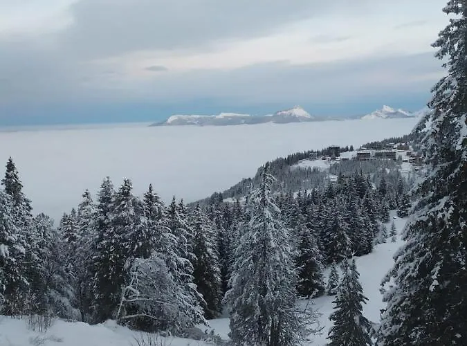 Studio Renove Chamrousse, Au Pied Des Pistes.