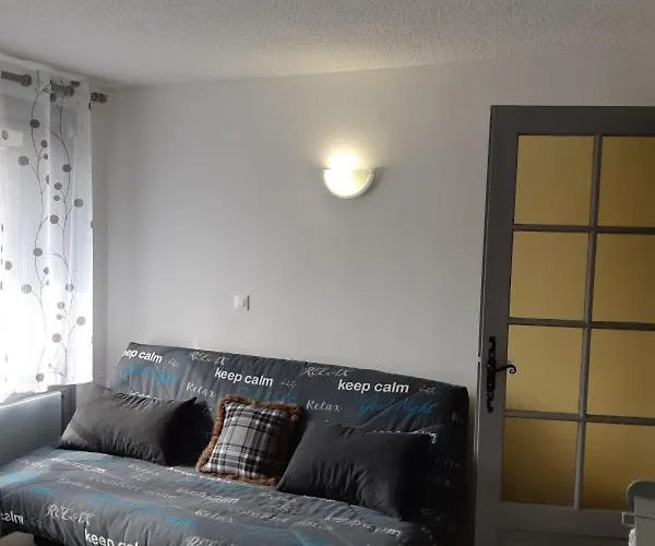 Le Chalet Des Neiges 2 Est Au Calme Situe A 5 Mn A Pied Du Centre Il Est Compose D'1 Chambre Avec Lit Double Plus Canape Convertible Parking Prive Sur Place Et Arret Navette Gratuite A 30 M