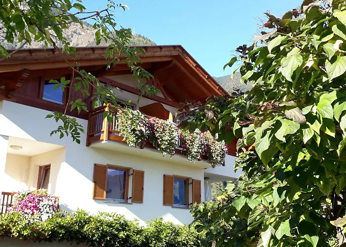 Toerggelehof
