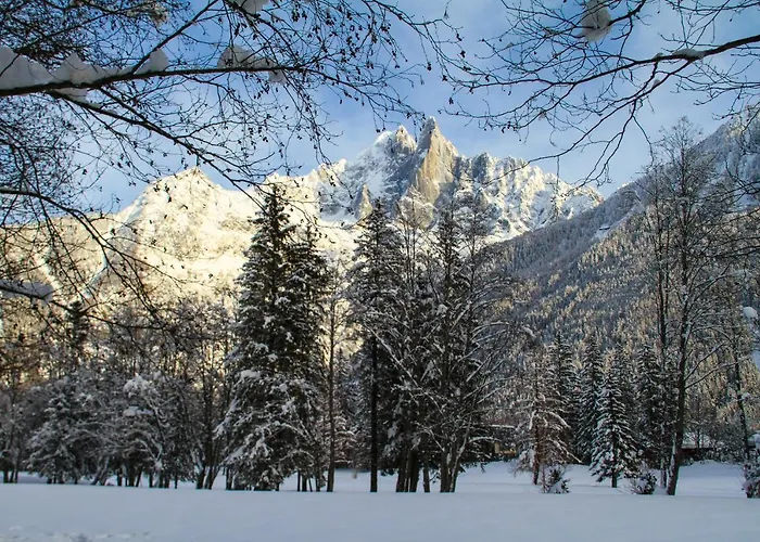 Apartment Maya, La Praz, Chamonix Mont Blanc
