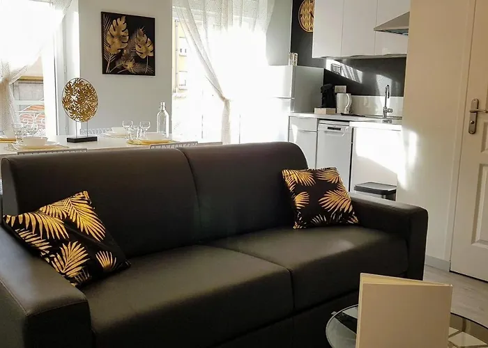 Les Nuits D'Anis - Appartements Hypercentre
