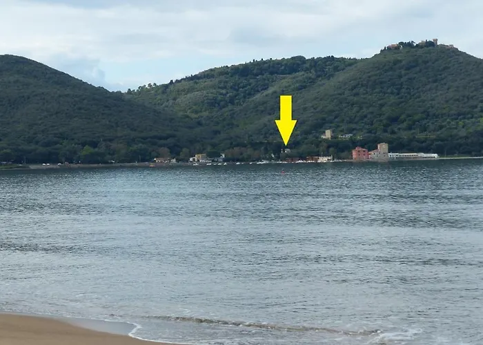 I Fiori Nel Golfo Di Baratti