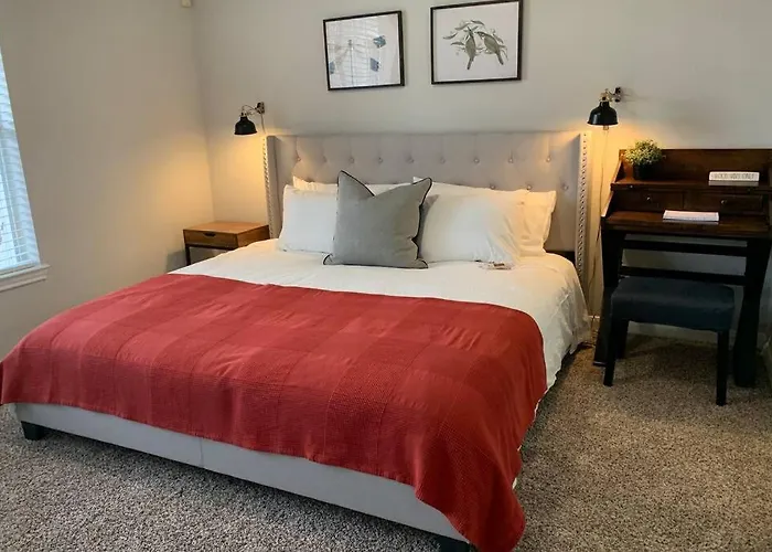 Newly Furnished 1Br Apartment W/ Hermann Park View