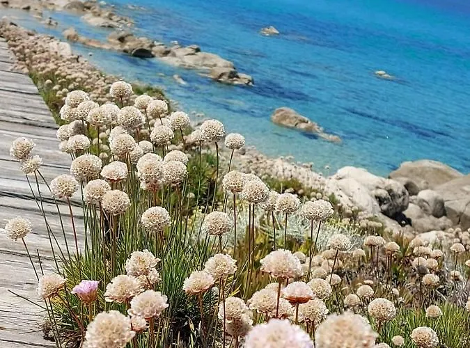 La Casedda Di Catalina