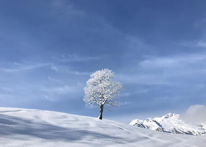 Valmorel Le Mottet - Residence Prariond - Esf & Skis Aux Pieds