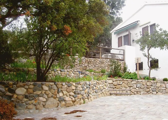 Ulivo