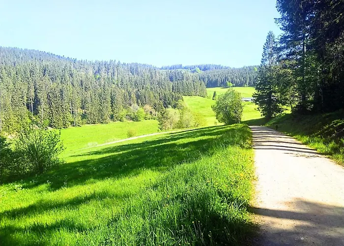 Romantic Style Apartment Titisee-Neustadt