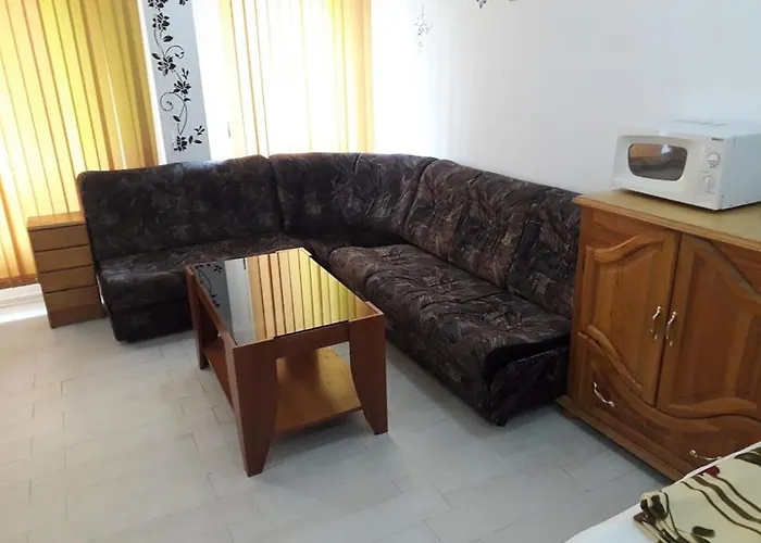 Ruse Central Studio