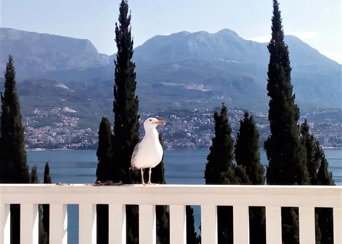 Villa Boka Sunrise Apartments