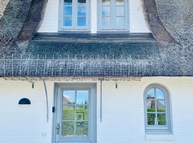 Sylt-Traum Moewe