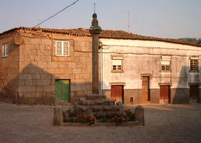 O Salgueiro