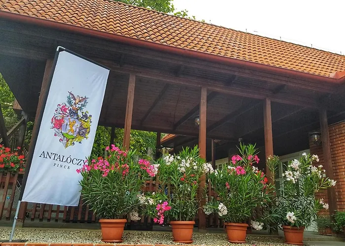 Antaloczy Winery&Apartments