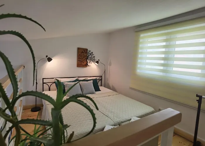 Zona Apartments 2