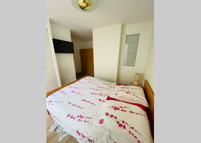 Appartement 2 Pieces Plage De Nauzan