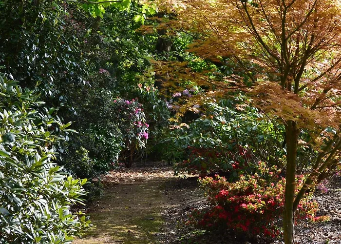Pinecroft Barn - Relax & Unwind!