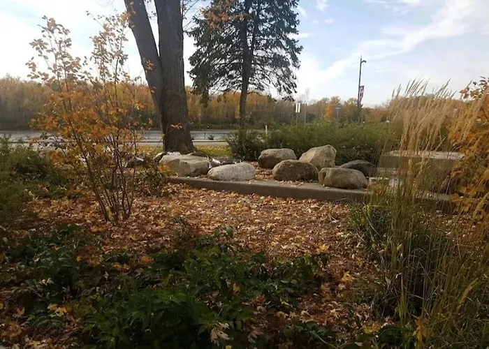 Cozy Sweet Studio #4, Only 10 Min To D.T. Ottawa