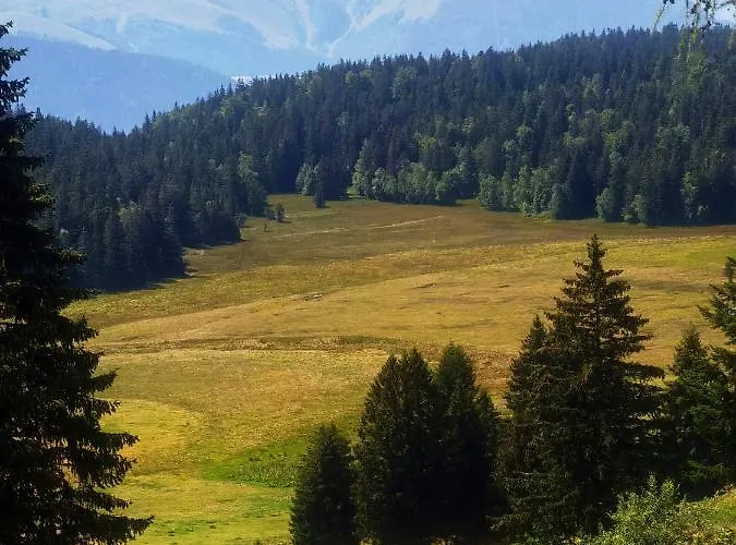 Chamrousse-Sport&Detente Appartement 6 Couchages Avec Superbe Vue