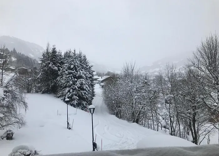 Chalet " Jeane " Proche Centre
