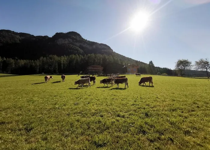 Ritschhof