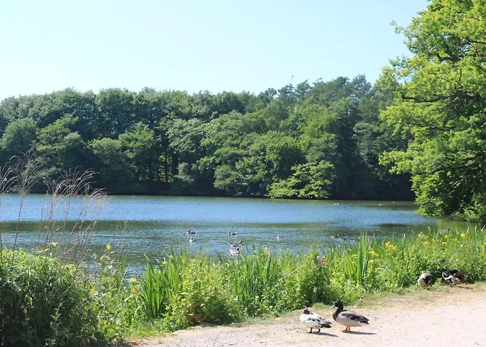 Fewo Seeblick