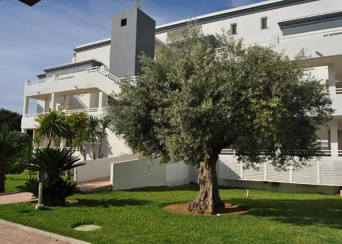 Oasis Hoyo 12 - Oliva Nova Playa Met&Golf