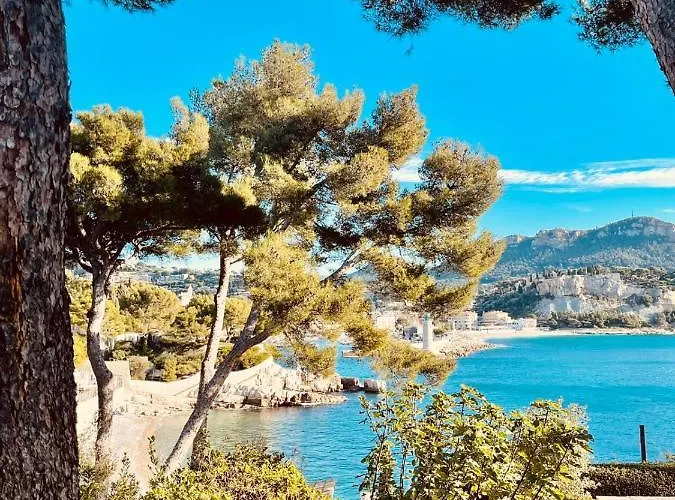 Au Bord De L'Eau Studio Climatise Avec Terrasse Et Vue Mer A 40M De La Plage