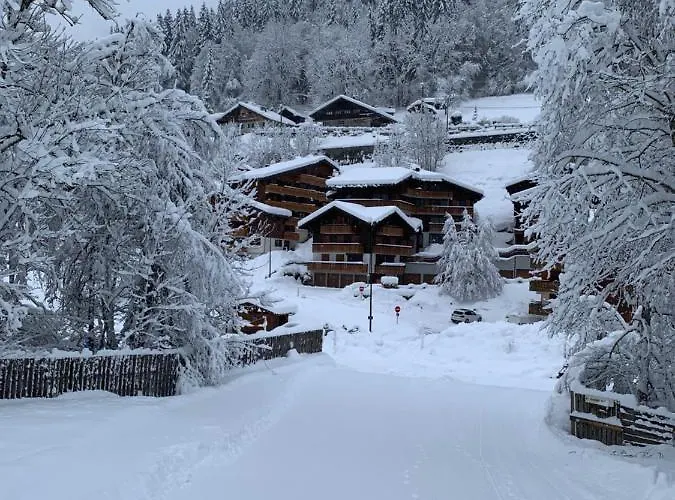 Studio Montagne pieds des pistes et départ de randonnée Été comme Hivers