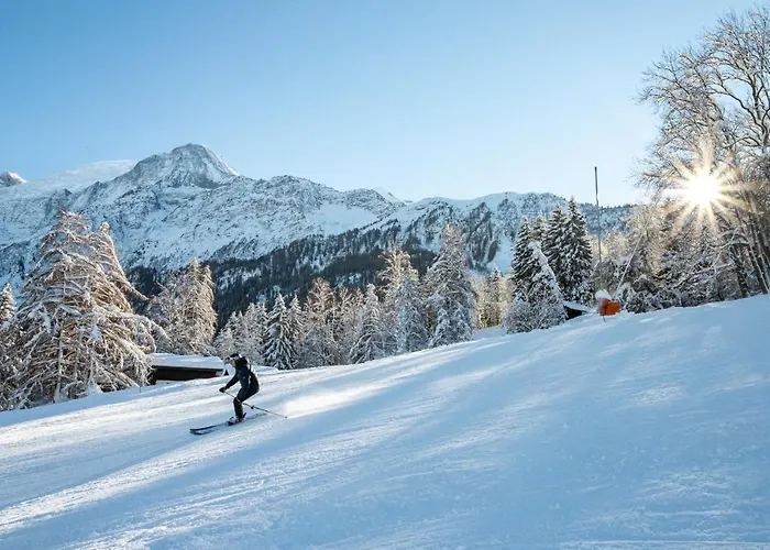 Apartment Refuge De Bellachat, Alpes Agency, Les Houches, Sleeps 4