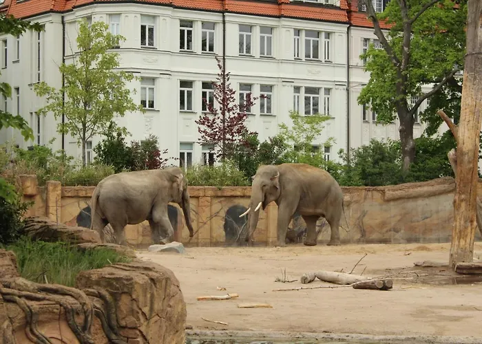 Grosse Wohnung Im Neu-Seen-Land Leipzig
