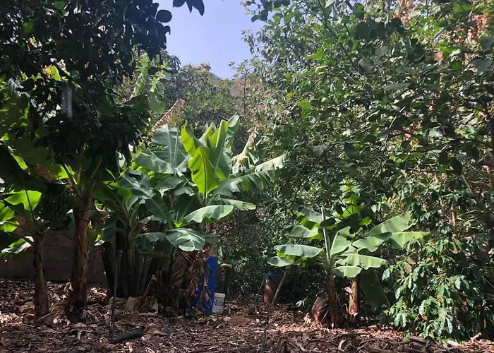 Casa Camino Tamadaba II