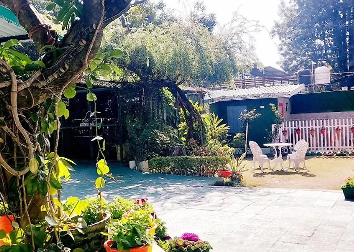 Olive Greens Homestay