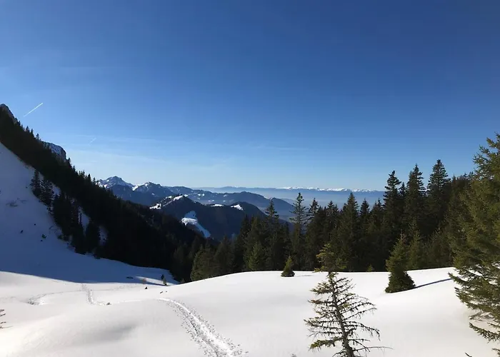 Studio Fondue Chocolat, 100M Des Pistes Wifi Fibre, Parking Prive
