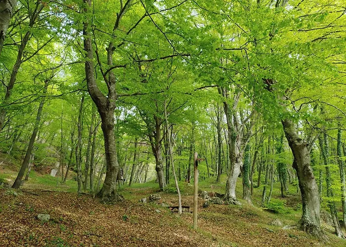 Locazione Turistica Arcobaleno "Appartamento Superior"