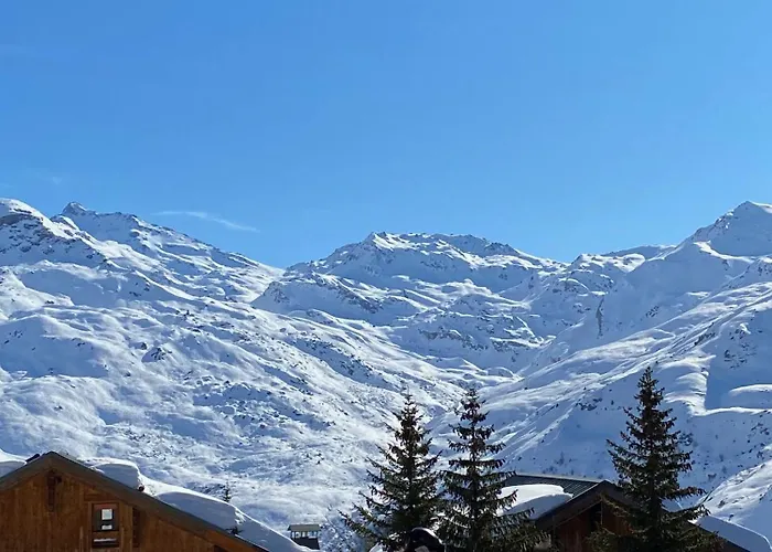 Le Chamois Des Alpages De Reberty Ski Au Pied
