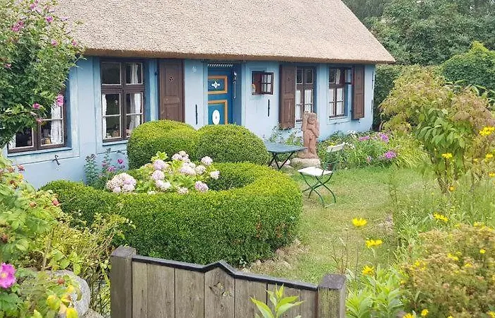 Ostseesternchen Zempin