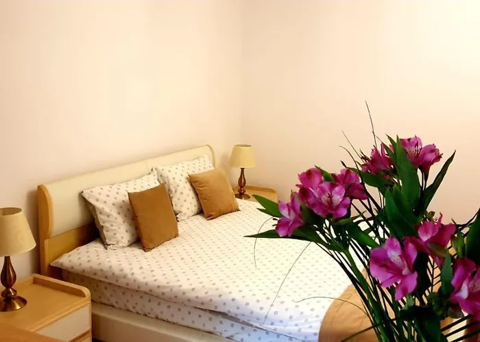 Brasov Studio