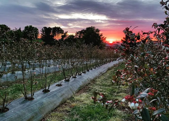 Quinta Vale Salgueiro