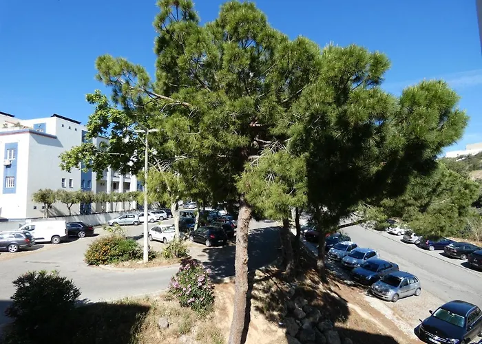 Bay View Apartments