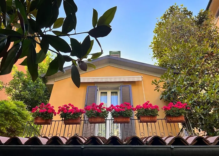 La Magnolia