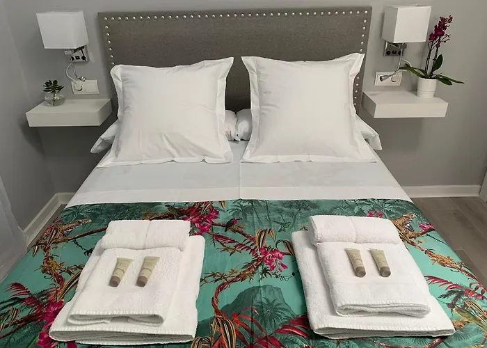 Perros hoteles Kentia Rooms Torremolinos