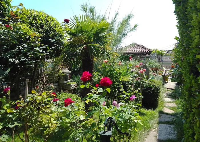 Guest House Amazonka
