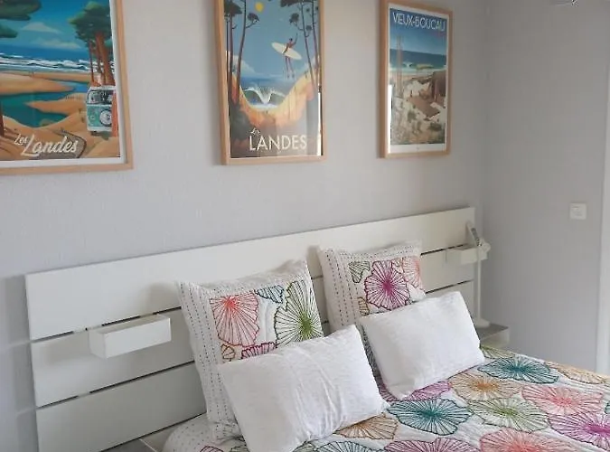 Les Goelands De L'Ocean