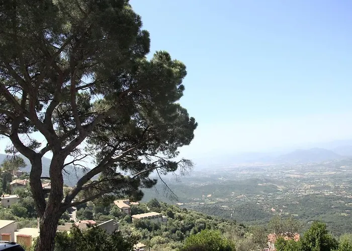 Montecolcau Panoramic view